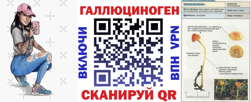 Галлюциногенные грибы мицелий сколько стоит hydra Карпинск