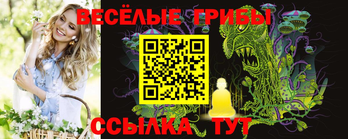 Галлюциногенные грибы Magic Shrooms Карпинск